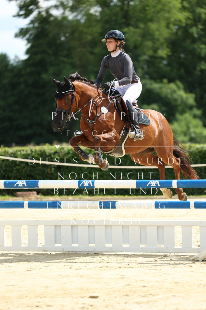 IMGM2431 | pl-fotografie