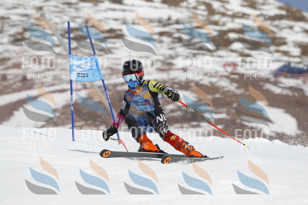 _U3G2696 | holidayphoto