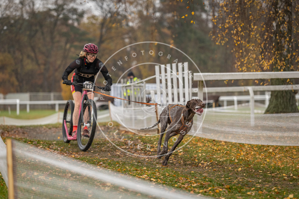 CaniXpix_DV3A8329 | Hundefotografie, Tierfotograf, Pfotenfotografie, Fotoshooting Hund, Hunde Portrait, Hundesport, Hundeportraits, Heideshooting, Hunde, Sportfotograf, Hundefotograf, Turnierhundsport, THS,  - Realisiert mit Pictrs.com