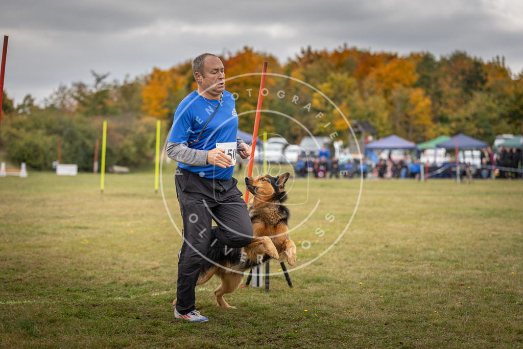 Pfotenfotografie_DV3A6488 | Hundefotografie, Tierfotograf, Pfotenfotografie, Fotoshooting Hund, Hunde Portrait, Hundesport, Hundeportraits, Heideshooting, Hunde, Sportfotograf, Hundefotograf, Turnierhundsport, THS,  - Realisiert mit Pictrs.com