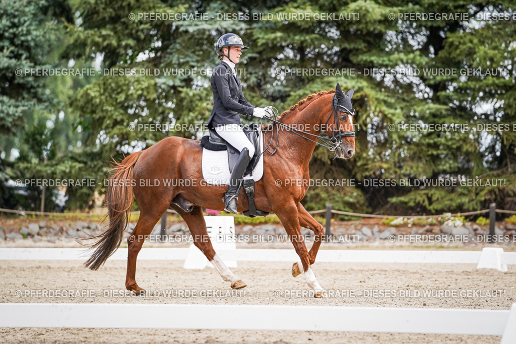 DSC04121 | Pferdegrafie