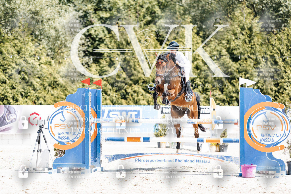 CK900265 | Turnierfotografie Pferdefotografie Trier Rheinland-Pfalz Pferdesport Reitsport Tierfotografie Sportfotografie Pferdevideo Pferdevideografie Equestrianvideography equestrianphotography  - Realisiert mit Pictrs.com