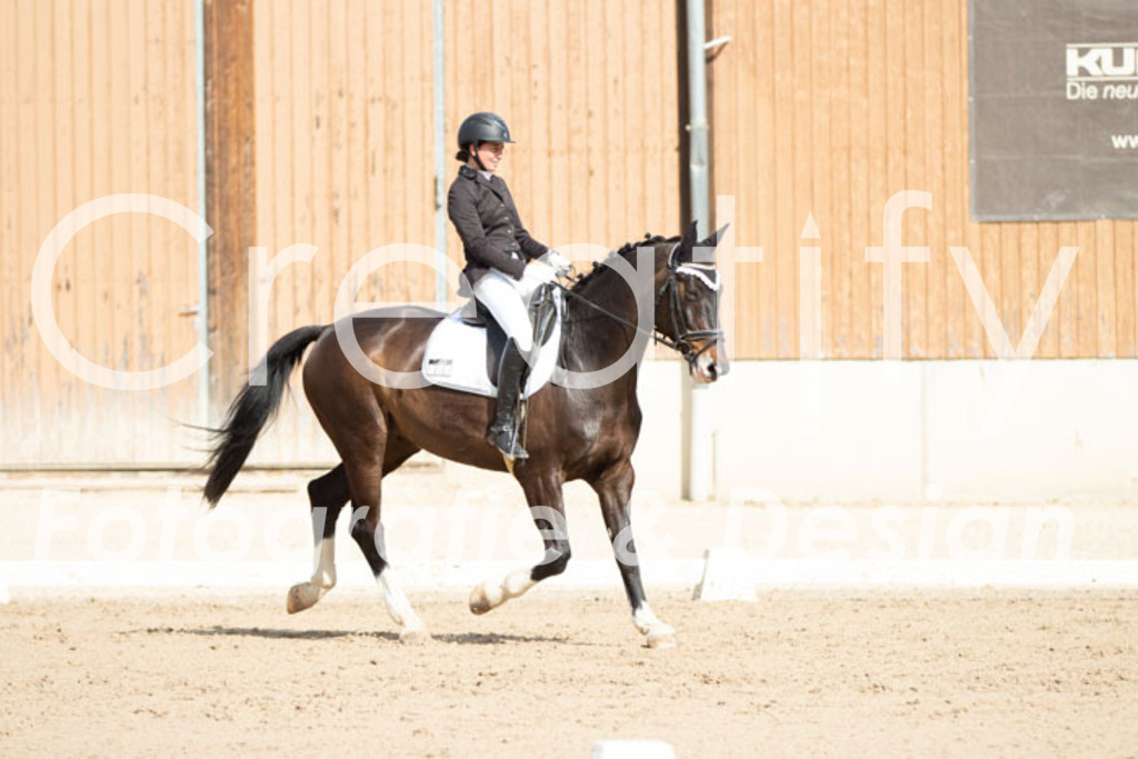 IMG_3888 | Creatify Fotografie