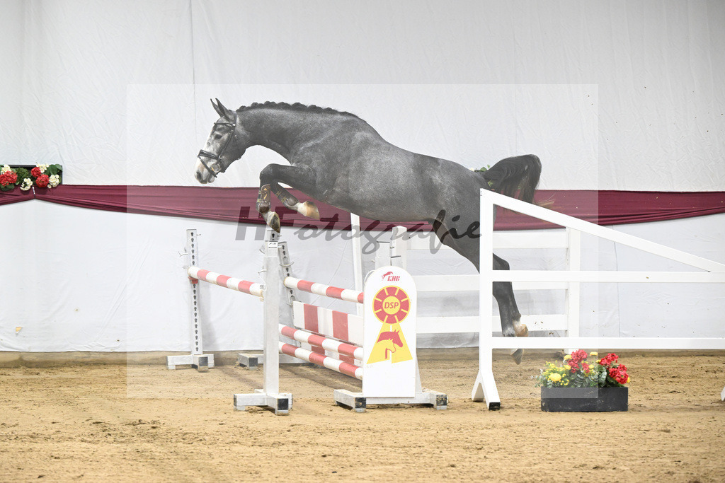 Kat-Nr. 97 Diamant De Semilly - Untouchable_Marian Mueller u Dr. Brigitte Seemann_47253169 | hf-fotografie - Realisiert mit Pictrs.com