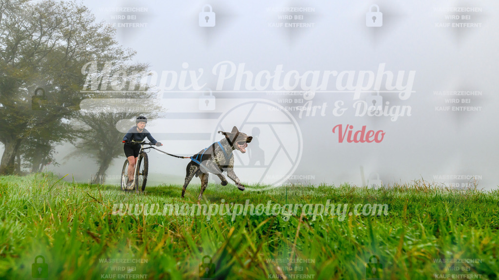 MompixPhotography_20TSB_E5_DS1-20 | PayLife