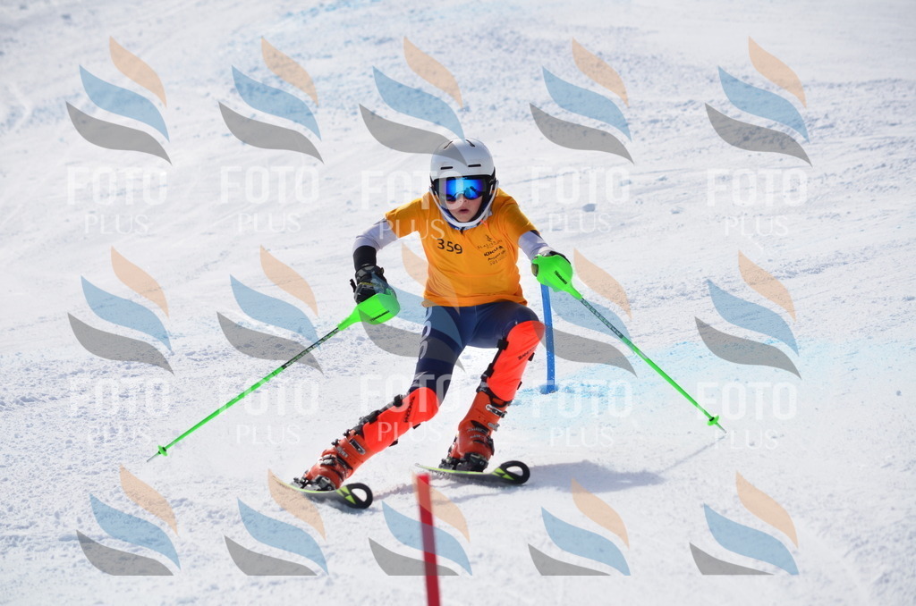 C9839 | holidayphoto