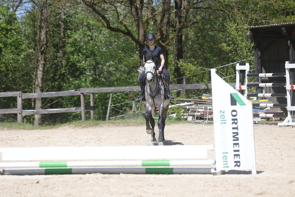 0P6A8811 | Willkommen bei Brunnmayr - Design & Fotografie – Ihrem Spezialisten für Reitturniere und Pferdeveranstaltungen in Oberösterreich, Salzburg und Bayern! Seit über 17 Jahren sind wir leidenschaftlich dabei.