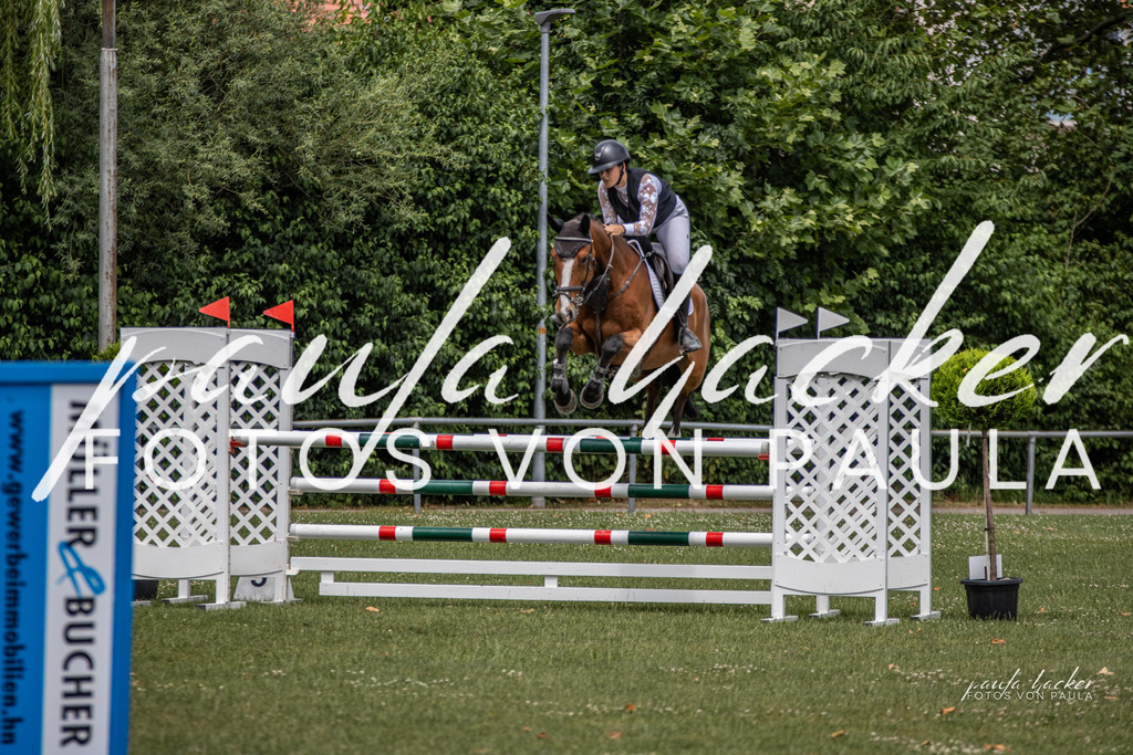 IMG_7088 | Erleben Sie dynamische Sport- und emotionale Tierfotografie in Süddeutschland mit Fotos von Paula. Spezialisiert auf Pferde- und Hundefotografie sowie Sportevents. Kontaktieren Sie mich für einzigartige und ausdrucksstarke Bilder Ihrer besonderen Momente.