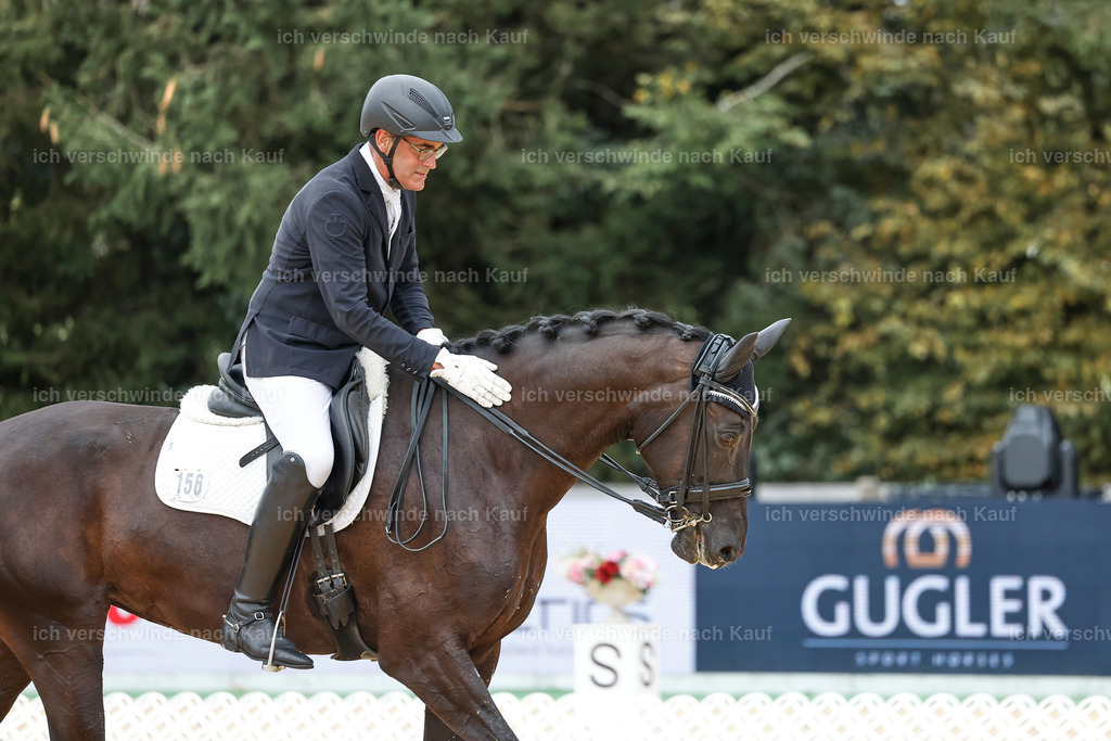 3-165-Dressur M_-StoibPH-2393 | working equitationturnier fotograf videograf stoibphotography marixx film working equitation deutschland reitsport turnierfotografie eventfotografie equestrian events