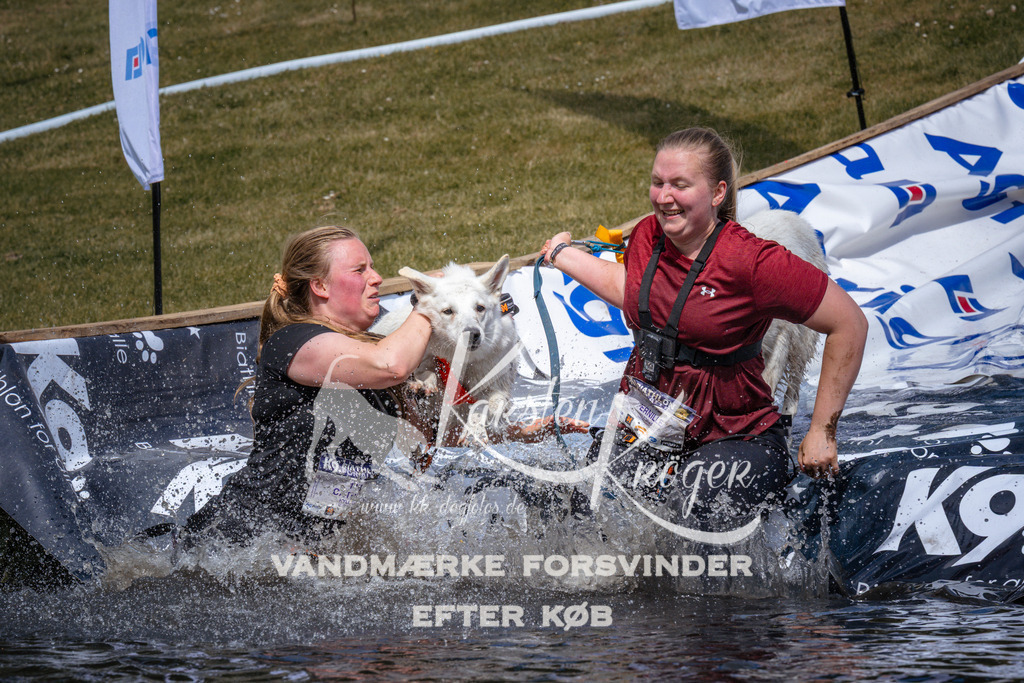 _ZZ940460950 | kk-dogfotos