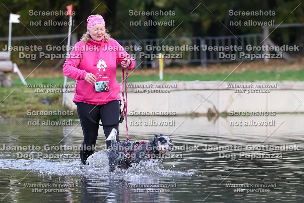 Dog Paparazzi - Strongdog 10-25-6539 | Dog Paparazzi Jeanette Grottendiek Fotografie & Videografie