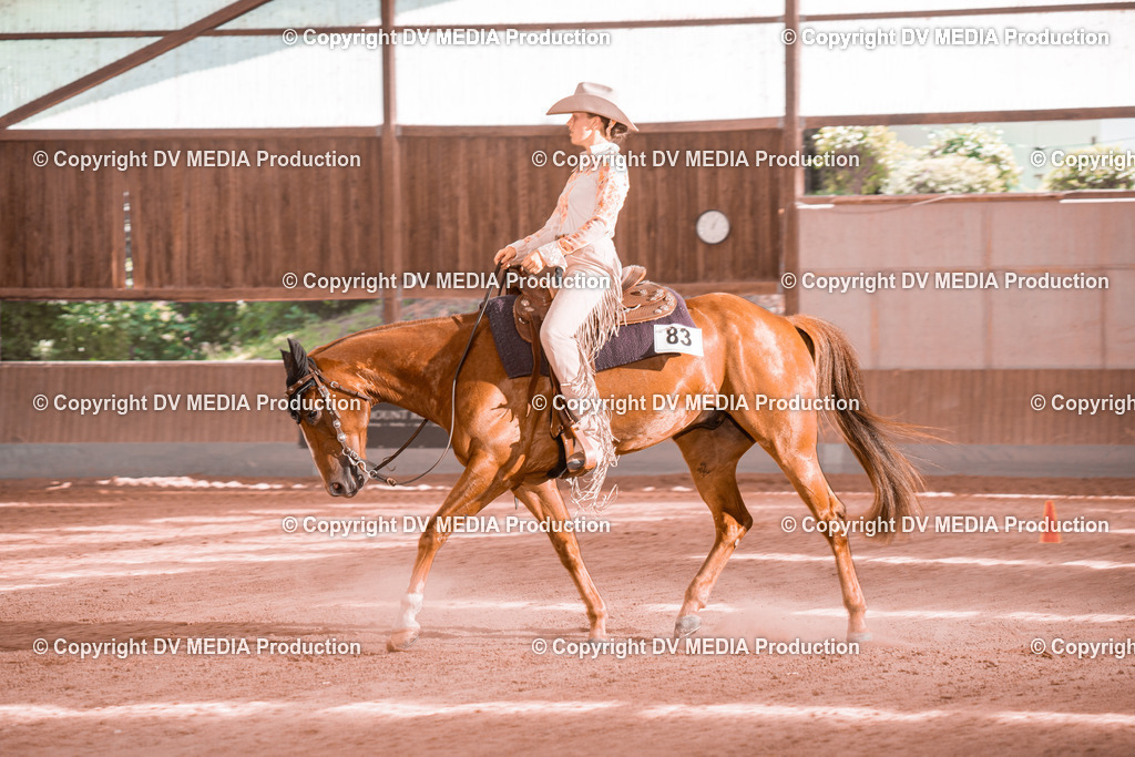 NE300632 | dv-media-shop - Realisiert mit Pictrs.com