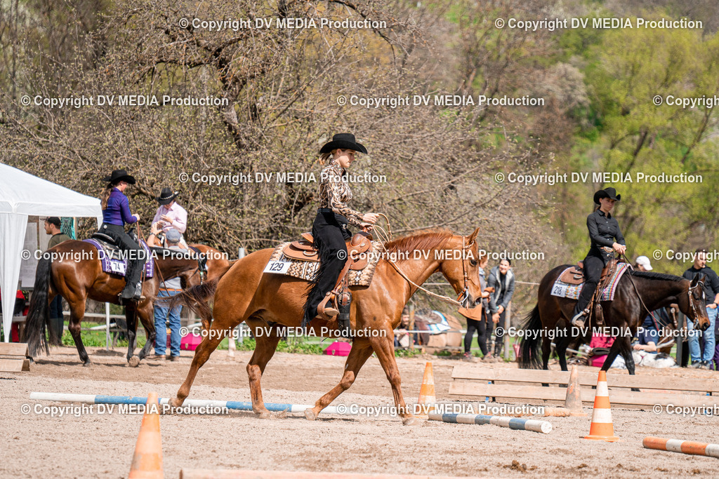 BAL02444 | dv-media-shop - Realisiert mit Pictrs.com