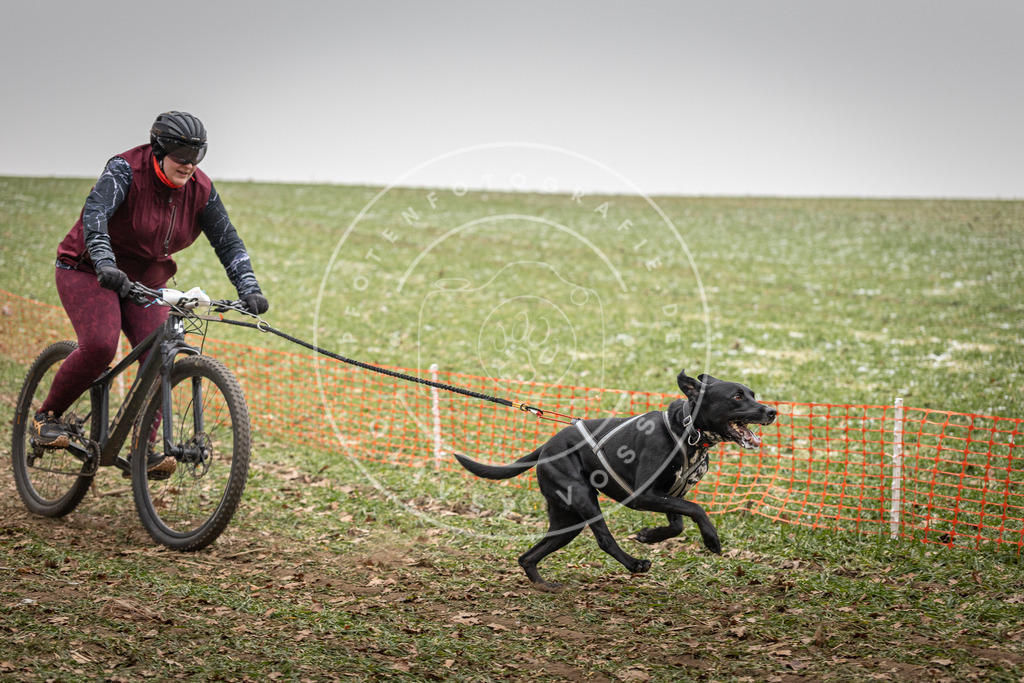 Pfotenfotografie_DV3A2930 | Hundefotografie, Tierfotograf, Pfotenfotografie, Fotoshooting Hund, Hunde Portrait, Hundesport, Hundeportraits, Heideshooting, Hunde, Sportfotograf, Hundefotograf, Turnierhundsport, THS,  - Realisiert mit Pictrs.com