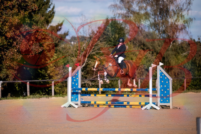 2026_10_03_Siefer-Hof_171733_Z81_15438483 | Professionelle Reitsport-, Turnier- und Eventfotografie von Robert Broda. Galerien mit ausgewählten und bearbeiteten Bildern direkt online ansehen und bestellen.