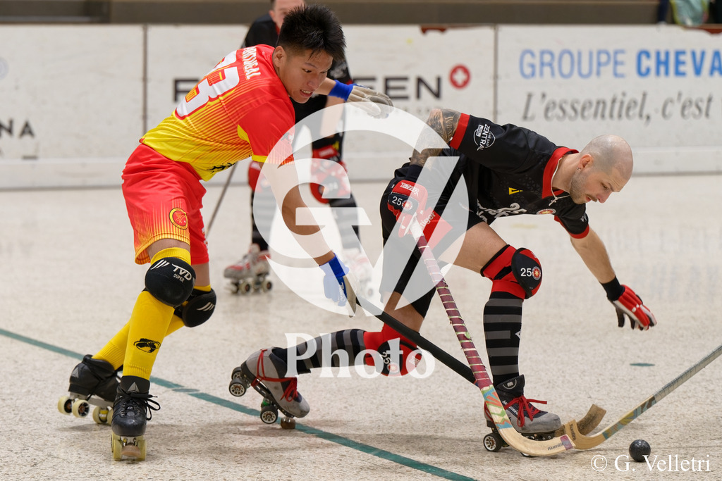 DSC_1781 | Velletri Photo