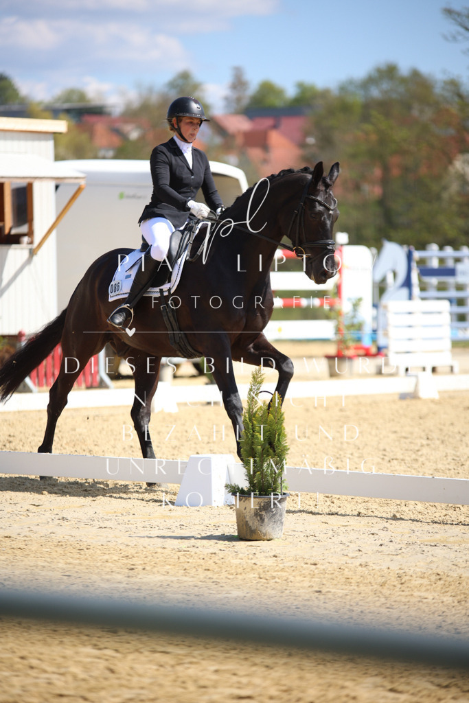 IMGT7133 | pl-fotografie