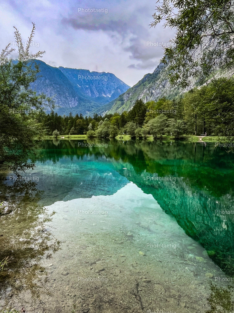 IMG_3573 | phototaetig