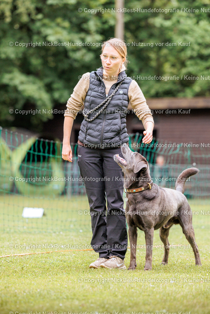 RO-Blumenthal-2026-Nickbest-Hundefotografie-3031 | Dein Hund! Dein Moment! Deine Erinnerungen! Hundefotografie in Bremen Blumenthal. Ich fange die besonderen Momente deines Vierbeiners ein – ob Indoor mit Blitzanlage oder in der freien Natur. Sicher dir dein Moment und dein Termin für eure Erinnerungen.