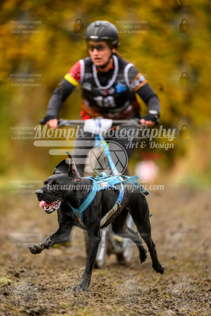 MompixPhotography_ICF_WC_2024_SA_DS_-34 | PayLife
