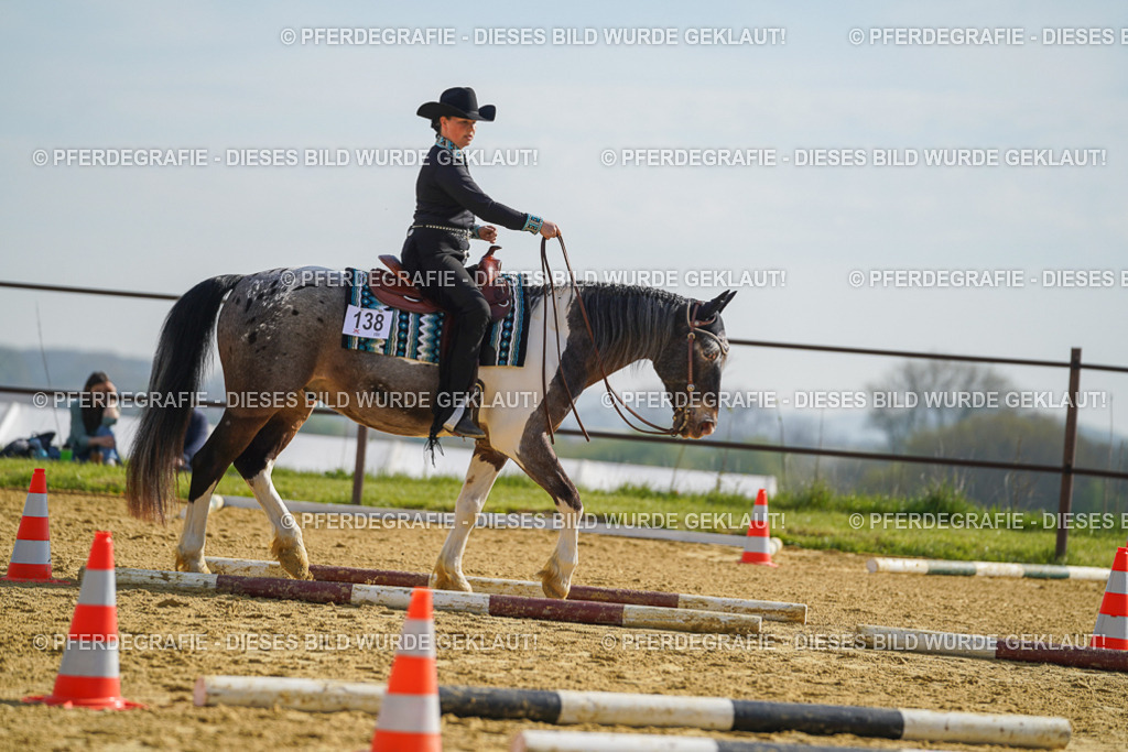 DSC01150 | Pferdegrafie