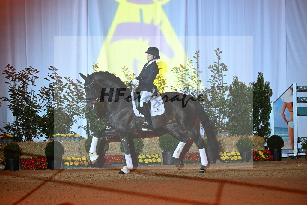 San__Haug_3262099 | hf-fotografie - Realisiert mit Pictrs.com