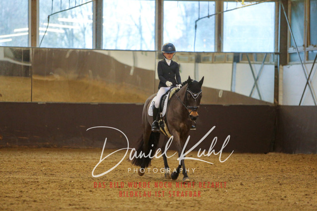 IMG_8074 | Turniersportfotografie; Pferdefotografie; Dressurfotografie