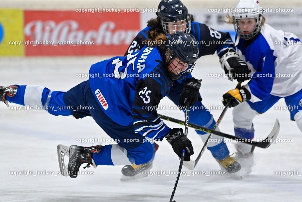 BST_4569 | hockey sports photos, Pressefotos, Sportfotos, hockey247, win 2day icehockeyleague, Handball Austria, Floorball Austria, ÖVV, Kärntner Eishockeyverband, KEHV, KFV, Kärntner Fussballverband, Österreichischer Volleyballverband, Alps Hockey League, ÖFB, 