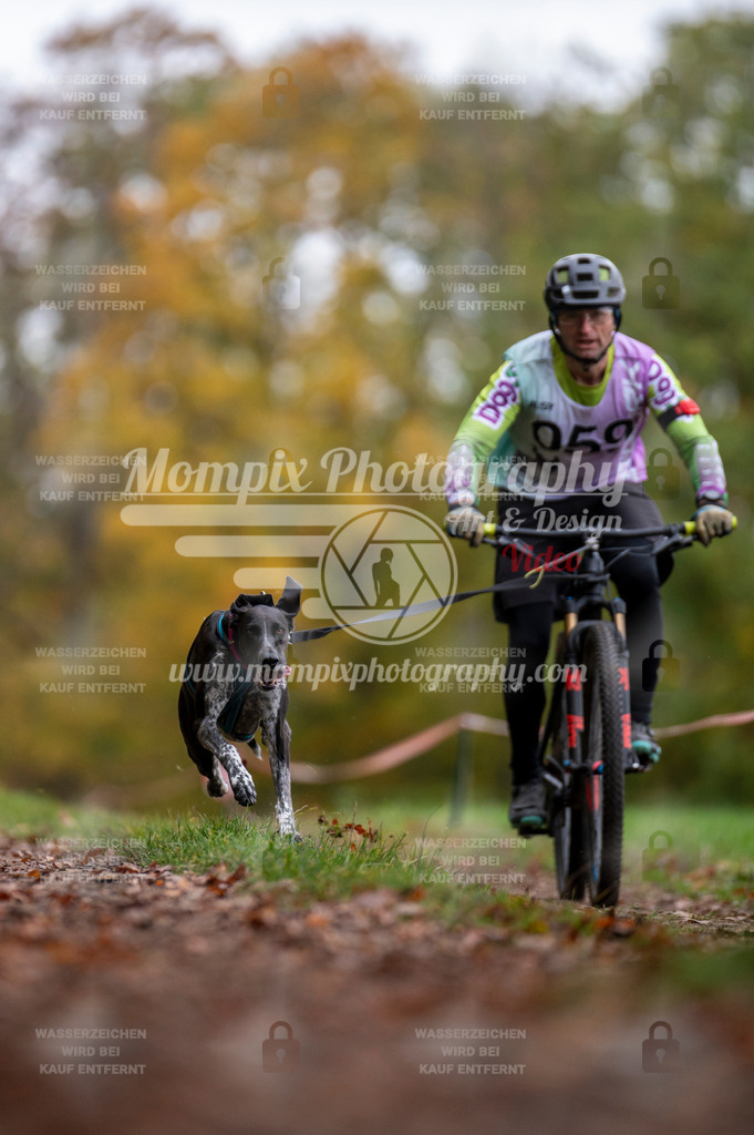 DBT_DAKM_SA_4_11_2023_Bike-44 | PayLife
