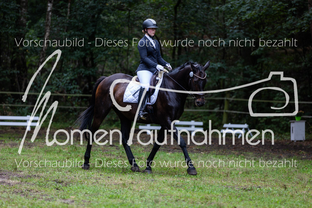 HB-A-Dressur-132 | MomenTaufnahmen Pferdesportfotos