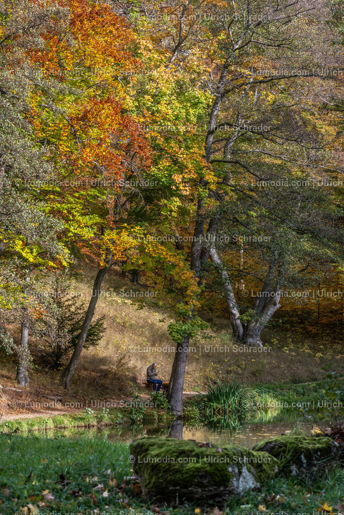 10049-12579 - Schloßpark Ilsenburg im Harz | Stockfoto und Bilderpool mit Bildmaterial aus Deutschland, dem Harz, Halberstadt, Quedlinburg, Wernigerode und weltweit. Qualitativ hochwertige und professionelle Fotos anschauen und kaufen. - Realisiert mit Pictrs.com