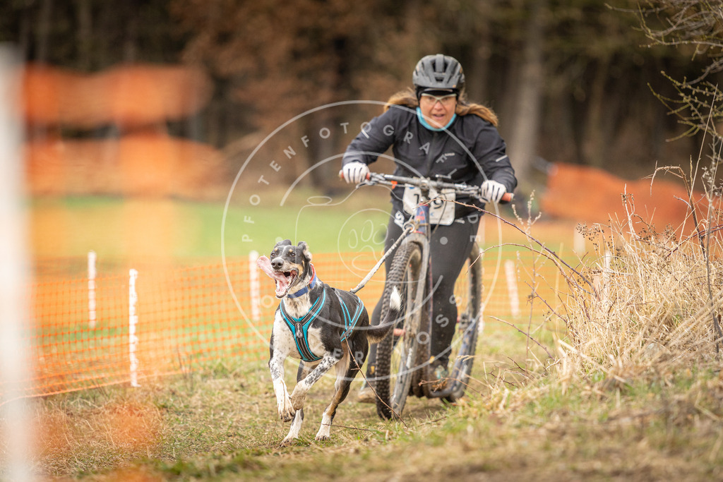 DV3A1501 | Hundefotografie, Tierfotograf, Pfotenfotografie, Fotoshooting Hund, Hunde Portrait, Hundesport, Hundeportraits, Heideshooting, Hunde, Sportfotograf, Hundefotograf, Turnierhundsport, THS,  - Realisiert mit Pictrs.com