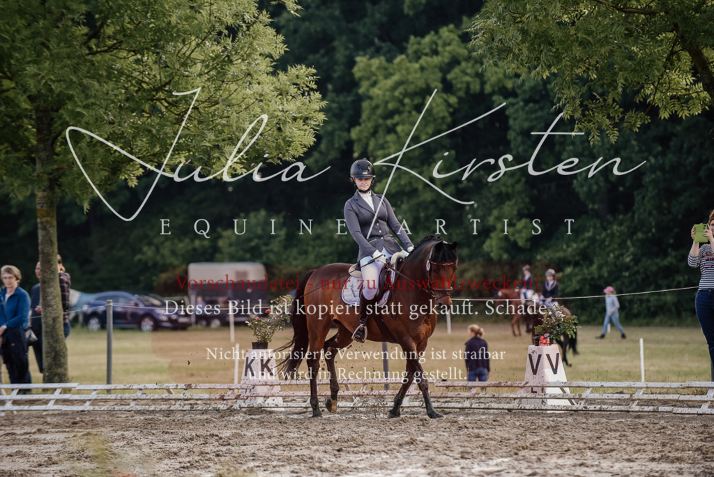 DSC_8348 | Pferde- und Turnierfotografie in Westsachsen. Pferdeportraits, Auftragszeichnungen und intuitive Kunst.