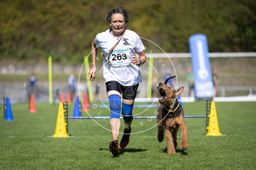 Pfotenfotografie_DV3A6592 | Hundefotografie, Tierfotograf, Pfotenfotografie, Fotoshooting Hund, Hunde Portrait, Hundesport, Hundeportraits, Heideshooting, Hunde, Sportfotograf, Hundefotograf, Turnierhundsport, THS,  - Realisiert mit Pictrs.com
