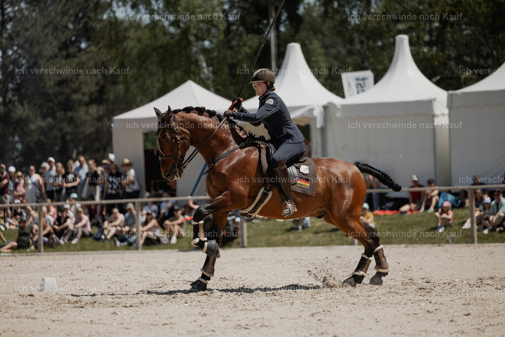 WE_SP_Stoib_340_PI2025_1963 | Pferd International München 2025