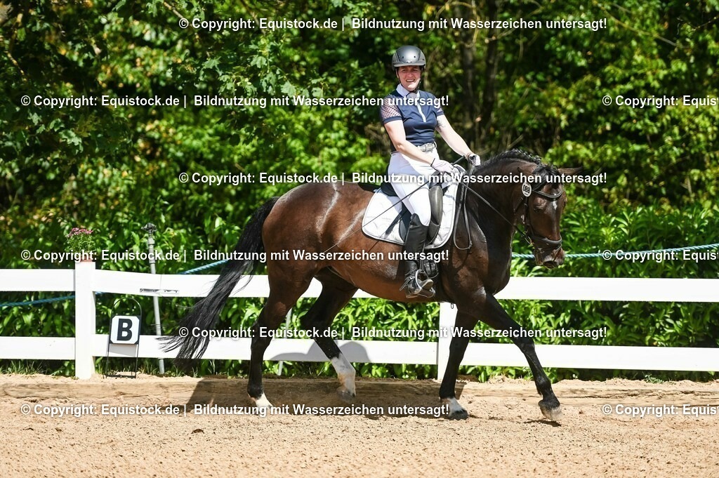 20230715_02_Dressurreiterprüfung Kl.L_0118 | equistock