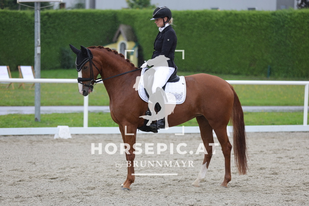 0P6A0172 | Willkommen bei Brunnmayr - Design & Fotografie – Ihrem Spezialisten für Reitturniere und Pferdeveranstaltungen in Oberösterreich, Salzburg und Bayern! Seit über 17 Jahren sind wir leidenschaftlich dabei.