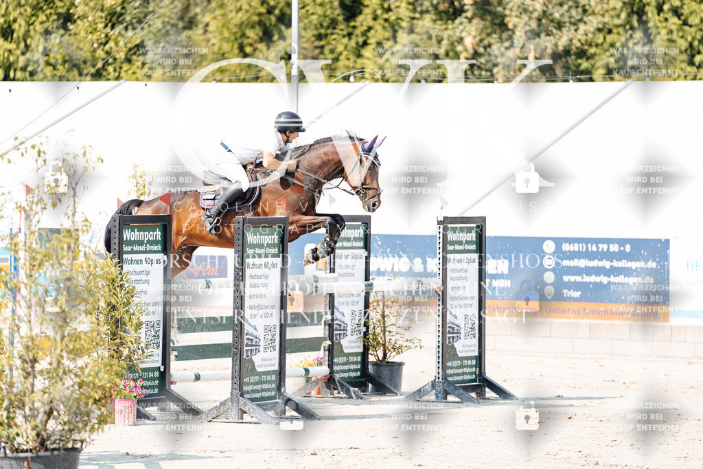 CK902177 | Turnierfotografie Pferdefotografie Trier Rheinland-Pfalz Pferdesport Reitsport Tierfotografie Sportfotografie Pferdevideo Pferdevideografie Equestrianvideography equestrianphotography  - Realisiert mit Pictrs.com