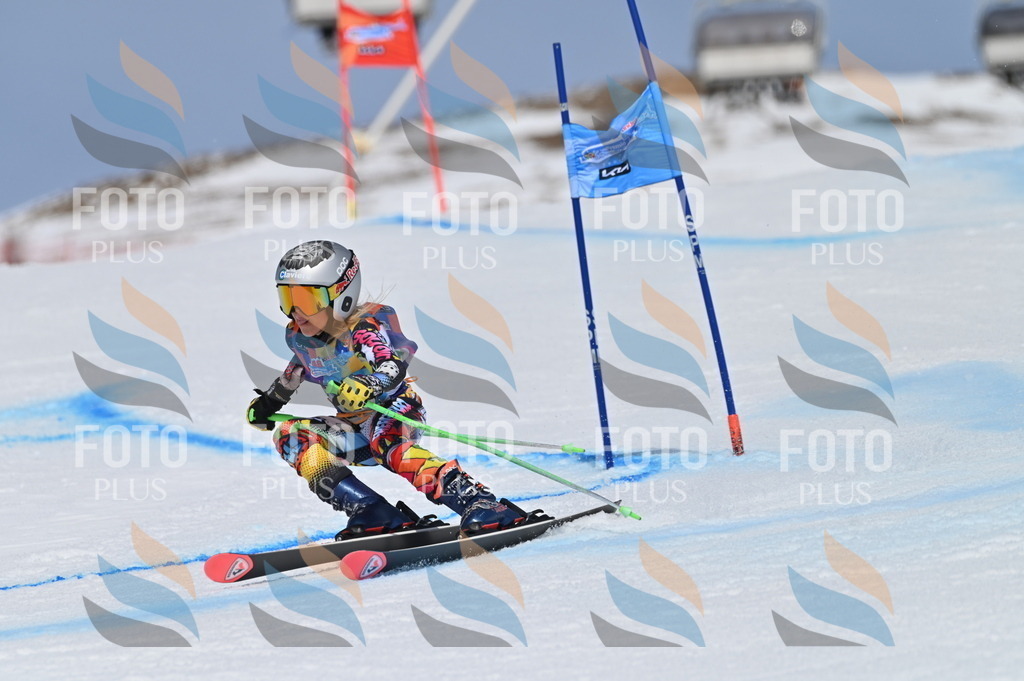 BGV_3523 | holidayphoto