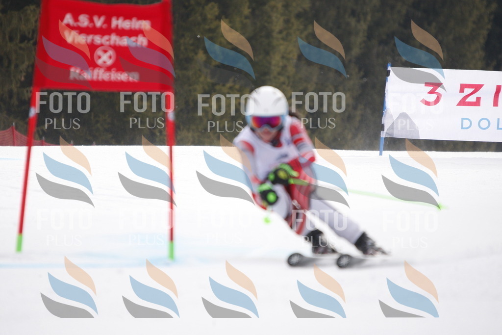 D4927 | holidayphoto