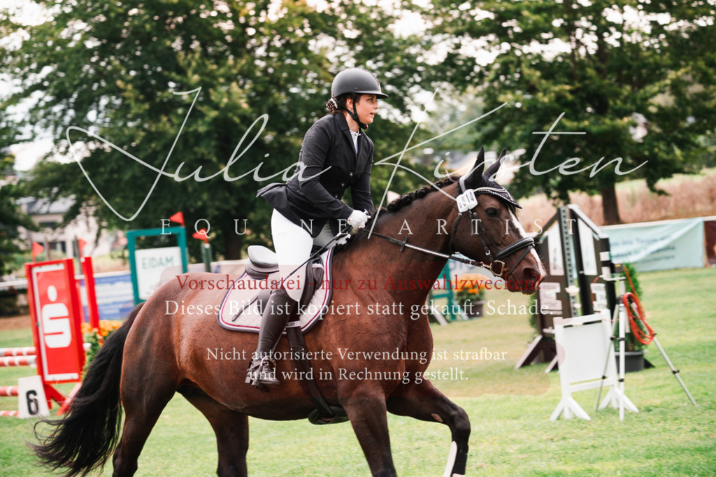 DSC_5839 | Pferde- und Turnierfotografie in Westsachsen. Pferdeportraits, Auftragszeichnungen und intuitive Kunst.