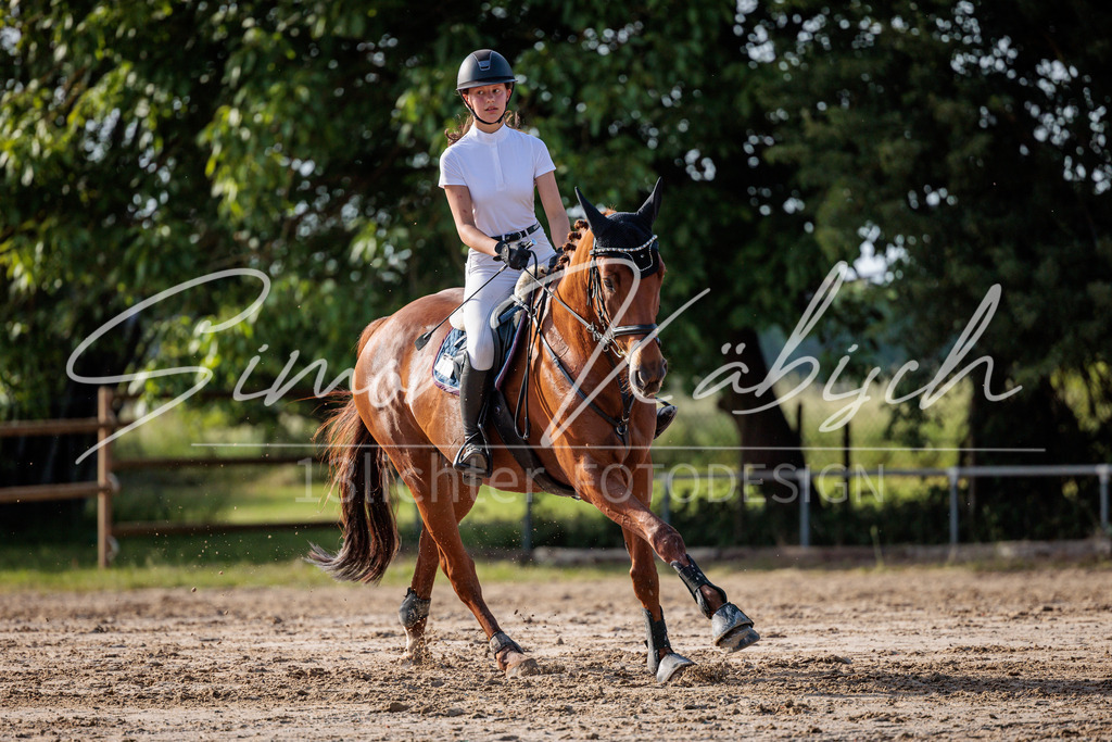 20260529-_3LI0535 | Tierfotografie Pferde, Hunde, Katzen, Haustiere.
Turnierfotografie Reitturniere, Reiten, Springreiten, Dressur in Hanau, dem Main-Kinzig-Kreis und dem Rhein-Main- Gebiet um Frankfurt