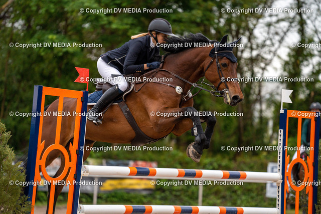 Eppelheim Tag 2-722 | dv-media-shop - Realized with Pictrs.com