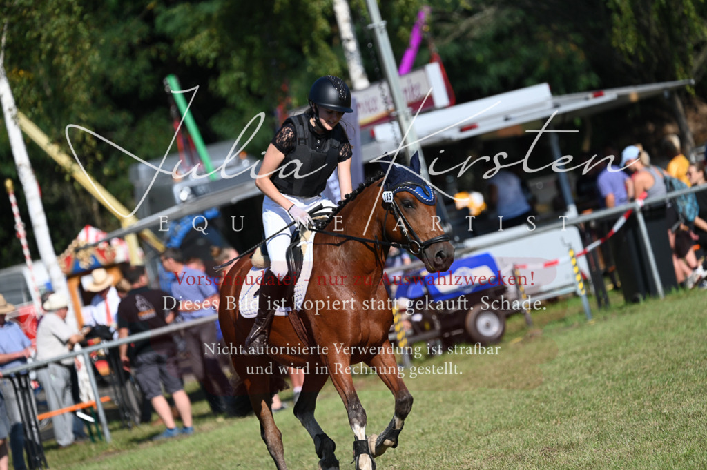DSC_5356 | Pferde- und Turnierfotografie in Westsachsen. Pferdeportraits, Auftragszeichnungen und intuitive Kunst.