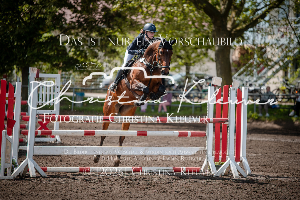DSC_1603 | Christina-Kleuver