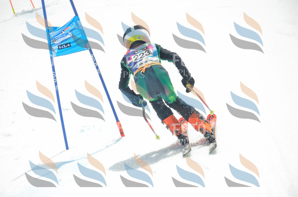 _ELE7212 | holidayphoto