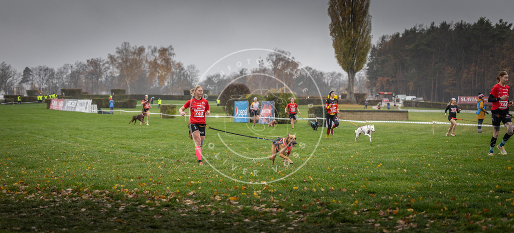 CaniXpix_DV3A8868 | Hundefotografie, Tierfotograf, Pfotenfotografie, Fotoshooting Hund, Hunde Portrait, Hundesport, Hundeportraits, Heideshooting, Hunde, Sportfotograf, Hundefotograf, Turnierhundsport, THS,  - Realisiert mit Pictrs.com
