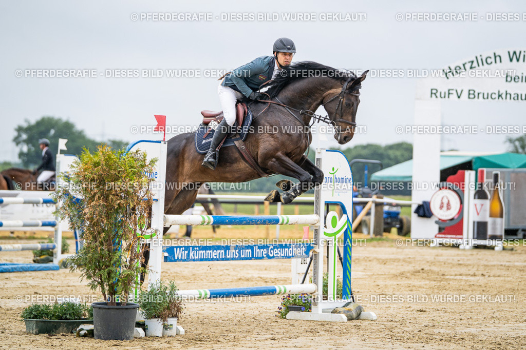 DSC02641 | Pferdegrafie