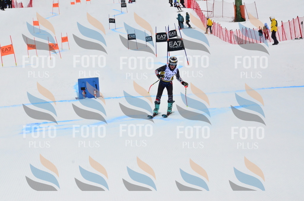 _ELE3800 | holidayphoto