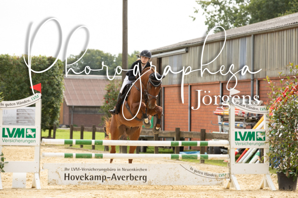 IMG_6610 | photographesa-joergens - Realisiert mit Pictrs.com